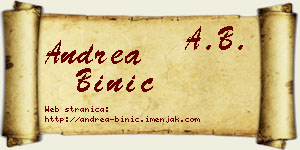 Andrea Binić vizit kartica
